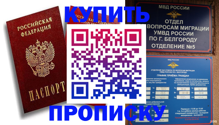 прописка иностранных граждан в Солнечногорске